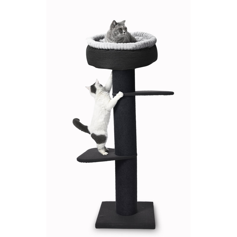 Tucker Murphy™ Pet 56" Hance Pedestal Sleeper Cat Condo & Reviews